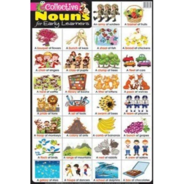 Educational Chart Collective Nouns – 760Mm X 505Mm  |   Educational Books Arts & Craft Educational Books