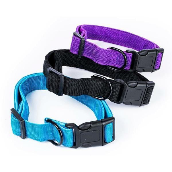 Large Premium Dog Collar – 2.5Cm X 45-60Cm  |   Pet Collars & Harnesses Pet Collars & Harnesses Assorted