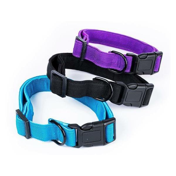 Medium Premium Dog Collar – 2Cm X 40-55Cm  |   Pet Collars & Harnesses Pet Collars & Harnesses Assorted