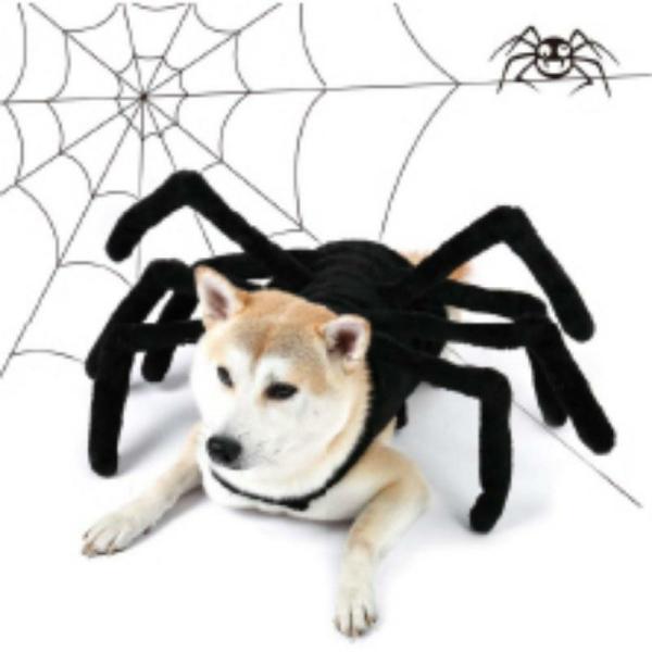 Spider Pet Costume  |   Pet Toys Pet Supplies Black