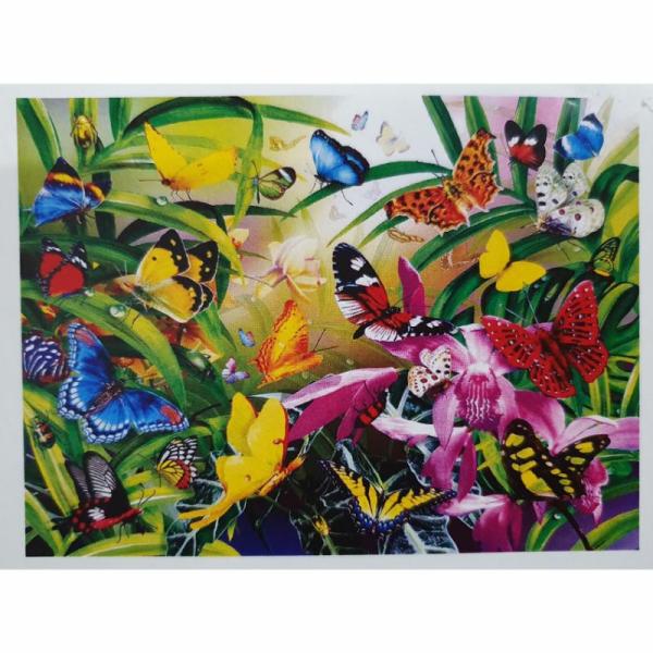 Stella Stone Paint By Numbers Mix D – 30Cm X 40Cm  |   Paint By Numbers Arts & Craft Paint By Numbers