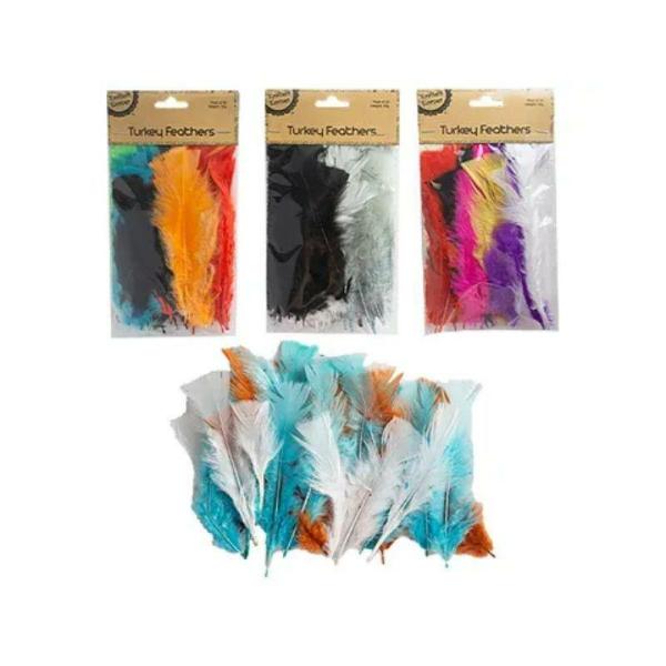 Mixed Colour Turkey Feathers – 10G  |   Stickers & Decorations Arts & Craft Stickers & Decorations