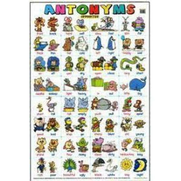 Educational Chart Antonyms  |   Educational Books Arts & Craft Educational Books